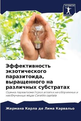 ????????????? ????????????? ??????????&# - ???? ?? ???? ???????? - cover