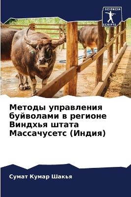 ?????? ?????????? ????????? ? ??????? ??н - ????? ????? ????? - cover