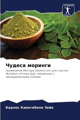 ?????? ??????? - ?????? ???????? ???? - cover