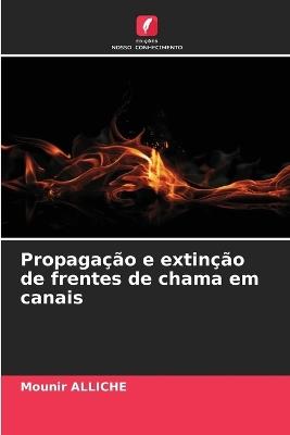 Propagação e extinção de frentes de chama em canais - Mounir Alliche - cover