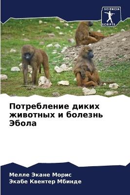 ??????????? ????? ???????? ? ??????? ???л - ????? ????? ?????,????? ??????? ?????? - cover