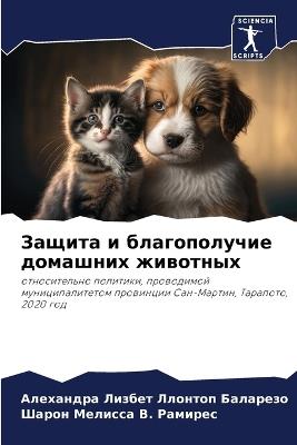 ?????? ? ???????????? ???????? ???????? - ??? ??????? ????????,????? ???? &#1042. &#1056&#1072&#1084&#1080&#1088&#1077&#1089 - cover