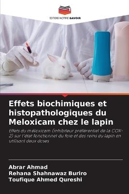 Effets biochimiques et histopathologiques du Meloxicam chez le lapin - Abrar Ahmad,Rehana Shahnawaz Buriro,Toufique Ahmed Qureshi - cover