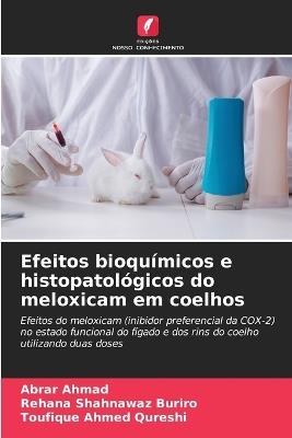 Efeitos bioquímicos e histopatológicos do meloxicam em coelhos - Abrar Ahmad,Rehana Shahnawaz Buriro,Toufique Ahmed Qureshi - cover