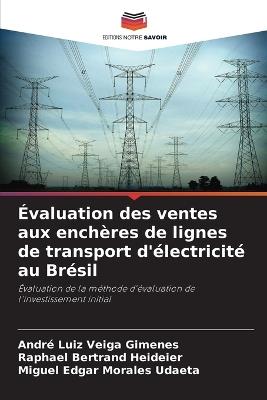 Évaluation des ventes aux enchères de lignes de transport d'électricité au Brésil - André Luiz Veiga Gimenes,Raphael Bertrand Heideier,Miguel Edgar Morales Udaeta - cover