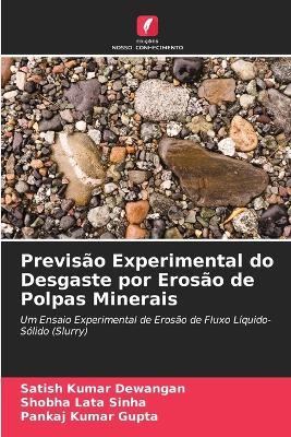 Previsão Experimental do Desgaste por Erosão de Polpas Minerais - Satish Kumar Dewangan,Shobha Lata Sinha,Pankaj Kumar Gupta - cover
