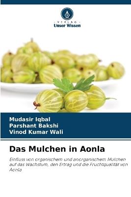 Das Mulchen in Aonla - Mudasir Iqbal,Parshant Bakshi,Vinod Kumar Wali - cover