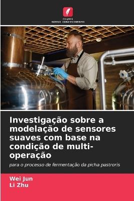 Investigação sobre a modelação de sensores suaves com base na condição de multi-operação - Wei Jun,Li Zhu - cover