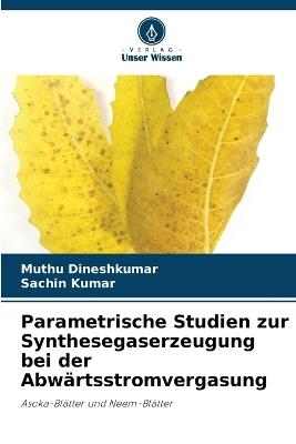 Parametrische Studien zur Synthesegaserzeugung bei der Abwärtsstromvergasung - Muthu Dineshkumar,Sachin Kumar - cover