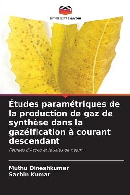 Études paramétriques de la production de gaz de synthèse dans la gazéification à courant descendant - Muthu Dineshkumar,Sachin Kumar - cover