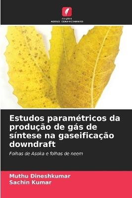 Estudos paramétricos da produção de gás de síntese na gaseificação downdraft - Muthu Dineshkumar,Sachin Kumar - cover