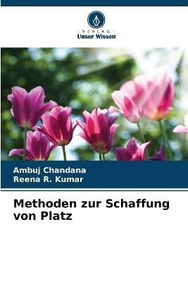 Methoden zur Schaffung von Platz - Ambuj Chandana,Reena R Kumar - cover