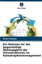 Ein Rahmen für die gegenseitige Abhängigkeit der Infrastrukturen im Katastrophenmanagement