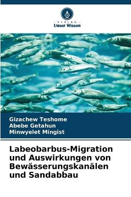 Labeobarbus-Migration und Auswirkungen von Bewässerungskanälen und Sandabbau - Gizachew Teshome,Abebe Getahun,Minwyelet Mingist - cover