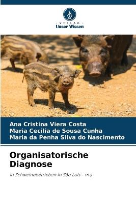 Organisatorische Diagnose - Ana Cristina Viera Costa,Maria Cecilia de Sousa Cunha,Maria Da Penha Silva Do Nascimento - cover