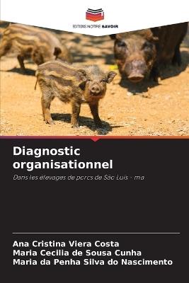 Diagnostic organisationnel - Ana Cristina Viera Costa,Maria Cecilia de Sousa Cunha,Maria Da Penha Silva Do Nascimento - cover
