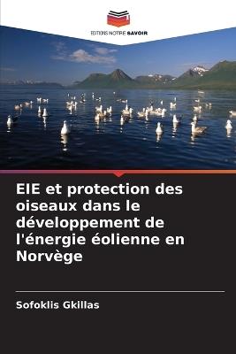 EIE et protection des oiseaux dans le développement de l'énergie éolienne en Norvège - Sofoklis Gkillas - cover