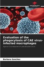 Evaluation of the phagocytosis of CAE virus-infected macrophages