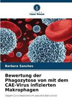 Bewertung der Phagozytose von mit dem CAE-Virus infizierten Makrophagen