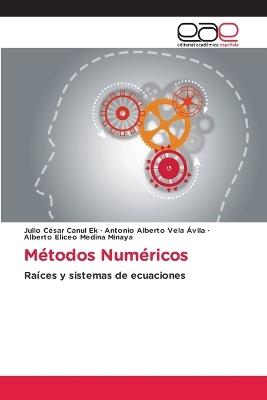 Métodos Numéricos - Julio Cesar Canul Ek,Antonio Alberto Vela Avila,Alberto Eliceo Medina Minaya - cover