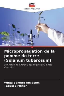 Micropropagation de la pomme de terre (Solanum tuberosum) - Winta Semere Amlesom,Tadesse Mehari - cover