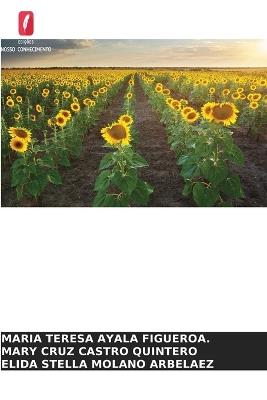 Um olhar sobre as instituições de ensino rural à luz dos ODS - Maria Teresa Ayala Figueroa,Mary Cruz Castro Quintero,Elida Stella Molano Arbelaez - cover