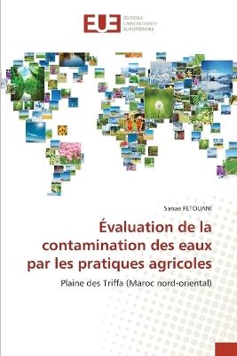 Évaluation de la contamination des eaux par les pratiques agricoles - Sanae Fetouani - cover