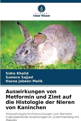 Auswirkungen von Metformin und Zimt auf die Histologie der Nieren von Kaninchen - Sidra Khalid,Sumera Sajjad,Husna Jabeen Malik - cover