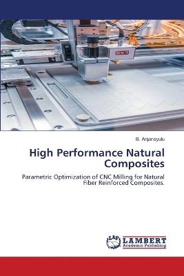 High Performance Natural Composites - B Anjaneyulu - cover