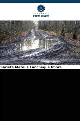 Sozio-ökologische Auswirkungen der Nutzung von Feuchtgebieten - Sarieta Mateus Lancheque Imora - cover