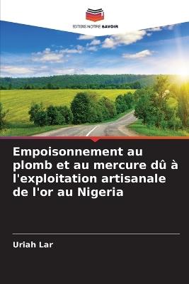 Empoisonnement au plomb et au mercure dû à l'exploitation artisanale de l'or au Nigeria - Uriah Lar - cover
