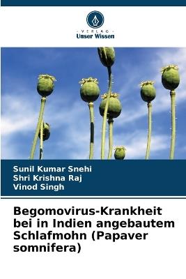 Begomovirus-Krankheit bei in Indien angebautem Schlafmohn (Papaver somnifera) - Sunil Kumar Snehi,Shri Krishna Raj,Vinod Singh - cover