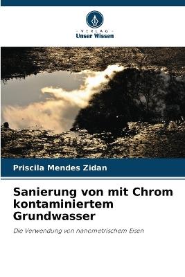 Sanierung von mit Chrom kontaminiertem Grundwasser - Priscila Mendes Zidan - cover