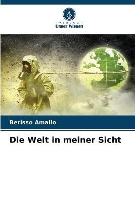 Die Welt in meiner Sicht - Berisso Amallo - cover