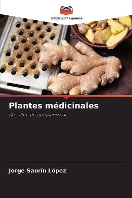 Plantes médicinales - Jorge Saurín López - cover