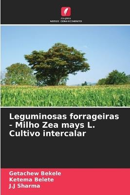 Leguminosas forrageiras - Milho Zea mays L. Cultivo intercalar - Getachew Bekele,Ketema Belete,J J Sharma - cover