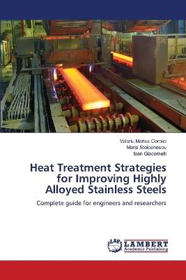 Heat Treatment Strategies for Improving Highly Alloyed Stainless Steels - Valeriu Marius Comici,Maria Stoicanescu,Ioan Giacomelli - cover