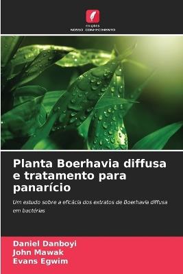 Planta Boerhavia diffusa e tratamento para panarício - Daniel Danboyi,John Mawak,Evans Egwim - cover