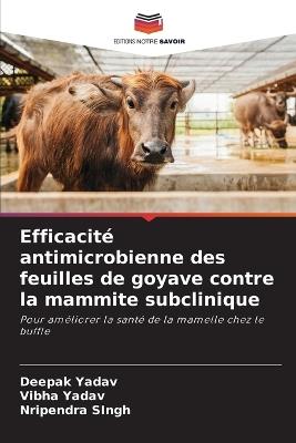 Efficacité antimicrobienne des feuilles de goyave contre la mammite subclinique - Deepak Yadav,Vibha Yadav,Nripendra Singh - cover