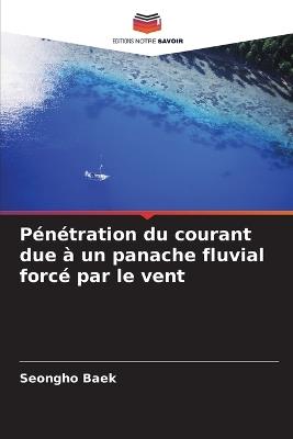 Pénétration du courant due à un panache fluvial forcé par le vent - Seongho Baek - cover