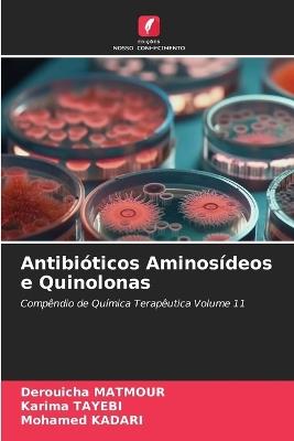 Antibióticos Aminosídeos e Quinolonas - Derouicha Matmour,Karima Tayebi,Mohamed Kadari - cover