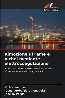 Rimozione di rame e nichel mediante elettrocoagulazione - Victor Vazquez,Jesus Leobardo Valenzuela,Jose R Parga - cover