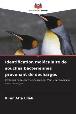 Identification moléculaire de souches bactériennes provenant de décharges - Kiran Atta Ullah - cover