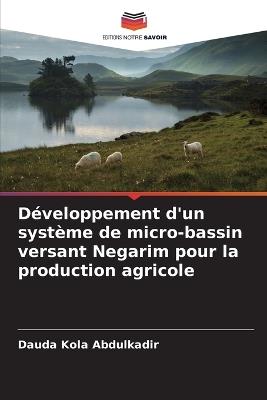 Développement d'un système de micro-bassin versant Negarim pour la production agricole - Dauda Kola Abdulkadir - cover