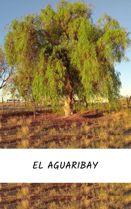 El Aguaribay