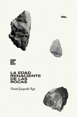 La edad renaciente de las rocas - David Guajardo Ruz - cover