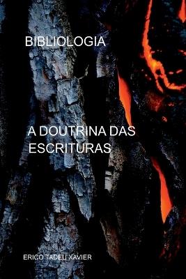 Bibliologia - Xavier Erico - cover