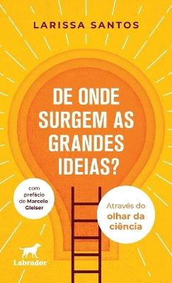 De onde surgem as grandes ideias?: através do olhar da ciên - Larissa Santos - cover