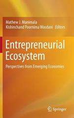 Entrepreneurial Ecosystem: Perspectives from Emerging Economies