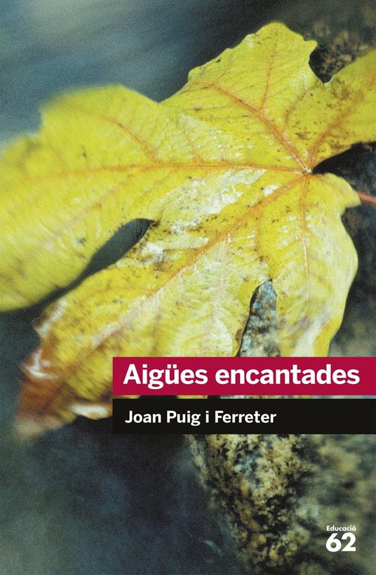 Aigües encantades - Joan Puig Ferreter - ebook